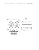 METHOD AND SYSTEM FOR TREATMENT OF MOBILITY DYSFUNCTION diagram and image