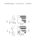 METHOD AND SYSTEM FOR TREATMENT OF MOBILITY DYSFUNCTION diagram and image