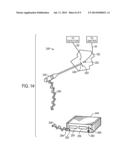 PHYSIOLOGICAL SENSOR HAVING BIODEGRADABLE OPTICS diagram and image