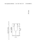 QUANTUM COMPUTER AND QUANTUM COMPUTING USING ISING MODEL diagram and image