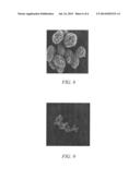 Article Including a Light Emitting Gadolinium-Containing Material and a     Process of Forming the Same diagram and image