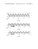 SYSTEM AND METHOD FOR MONITORING CARDIOMYOCYTE BEATING, VIABILITY,     MORPHOLOGY, AND ELECTROPHYSIOLOGICAL PROPERTIES diagram and image