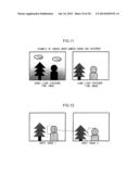 IMAGE PROCESSING APPARATUS, METHOD AND IMAGING APPARATUS diagram and image