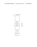 Fiber Bypass Module and its Adapted In-Line Equipment diagram and image