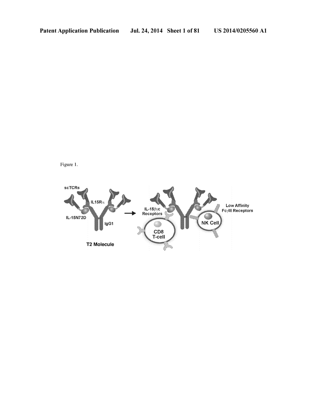 MULTIMERIC IL-15 SOLUBLE FUSION MOLECULES AND METHODS OF MAKING AND USING     SAME - diagram, schematic, and image 02