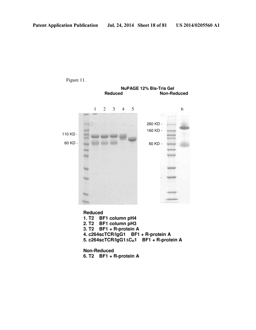 MULTIMERIC IL-15 SOLUBLE FUSION MOLECULES AND METHODS OF MAKING AND USING     SAME - diagram, schematic, and image 19