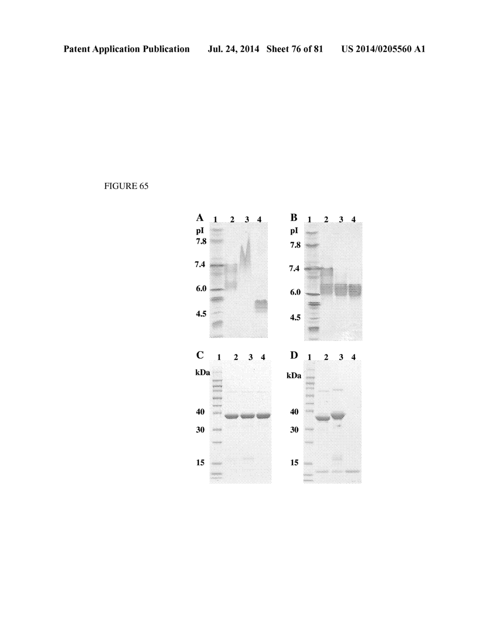 MULTIMERIC IL-15 SOLUBLE FUSION MOLECULES AND METHODS OF MAKING AND USING     SAME - diagram, schematic, and image 77