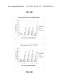 ANTAGONIST ANTI-CD40 MONOCLONAL ANTIBODIES AND METHODS FOR THEIR USE diagram and image