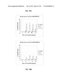 ANTAGONIST ANTI-CD40 MONOCLONAL ANTIBODIES AND METHODS FOR THEIR USE diagram and image