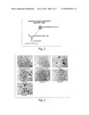 MONOCLONAL ANTIBODIES THAT BIND TO HGM-CSF AND MEDICAL COMPOSITIONS     COMPRISING SAME diagram and image