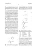 DIPEPTIDES AS FEED ADDITIVES diagram and image