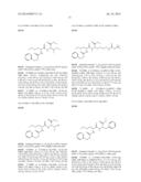 DIPEPTIDES AS FEED ADDITIVES diagram and image