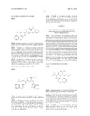 DIPEPTIDES AS FEED ADDITIVES diagram and image