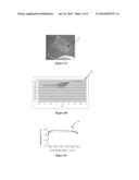 BIOPOLYMER PHOTONIC CRYSTALS AND METHOD OF MANUFACTURING THE SAME diagram and image