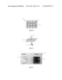 BIOPOLYMER PHOTONIC CRYSTALS AND METHOD OF MANUFACTURING THE SAME diagram and image