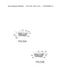 Self Ligating Orthodontic Bracket Having a Rotatable Member diagram and image