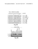 Genetic Lesion Associated with Cancer diagram and image