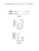 Genetic Lesion Associated with Cancer diagram and image