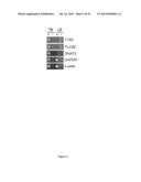 RATIONALE, METHODS, AND ASSAYS FOR IDENTIFYING HUMAN AND NON-HUMAN PRIMATE     TASTE SPECIFIC GENES AND USE THEREOF IN TASTE MODULATOR AND THERAPEUTIC     SCREENING ASSAYS diagram and image