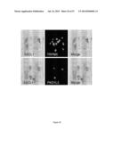 RATIONALE, METHODS, AND ASSAYS FOR IDENTIFYING HUMAN AND NON-HUMAN PRIMATE     TASTE SPECIFIC GENES AND USE THEREOF IN TASTE MODULATOR AND THERAPEUTIC     SCREENING ASSAYS diagram and image