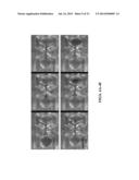 ELECTROMAGNETICALLY ACTUATED DROPLET MICROFLUIDIC CHIP AND SYSTEM diagram and image