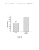 Method for Identifying Agents that Inhibit Cell Migration, Promote Cell     Adhesion and Prevent Metastasis diagram and image