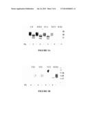 PRION PROTEIN LIGANDS AND METHODS OF USE diagram and image