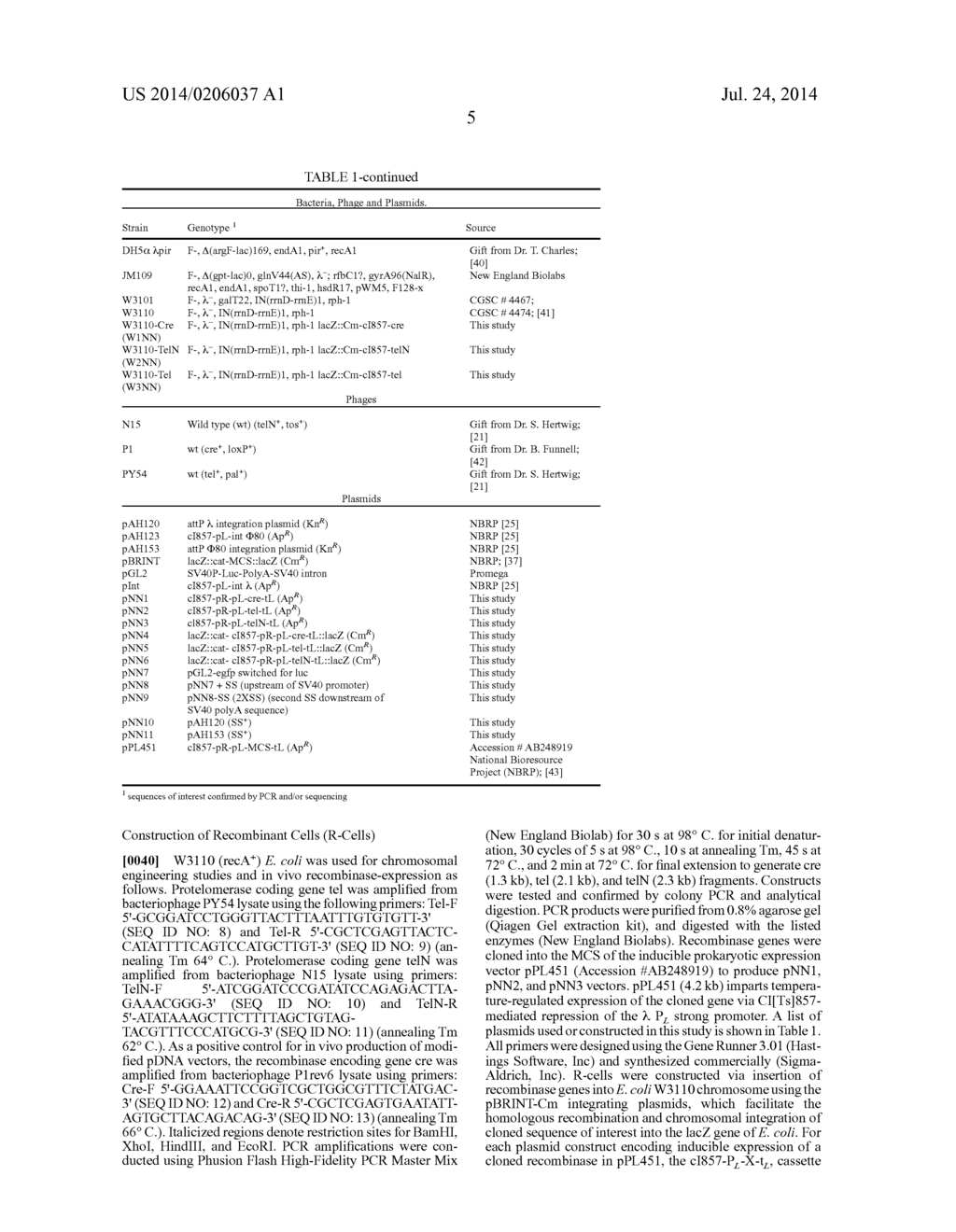 DNA VECTOR PRODUCTION SYSTEM - diagram, schematic, and image 18