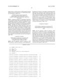 METHOD OF ENZYMATICALLY SYNTHESIZING 3      -PHOSPHOADENOSINE-5 -PHOSPHOSULFATE diagram and image