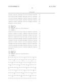 METHOD OF ENZYMATICALLY SYNTHESIZING 3      -PHOSPHOADENOSINE-5 -PHOSPHOSULFATE diagram and image