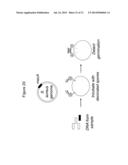 BACTERIAL METHODS diagram and image