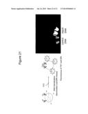 BACTERIAL METHODS diagram and image