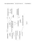 BIOLOGICAL SYNTHESIS OF DIFUNCTIONAL ALKANES FROM CARBOHYDRATE FEEDSTOCKS diagram and image