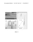 Nanochannel Arrays and Their Preparation and Use for High Throughput     Macromolecular Analysis diagram and image