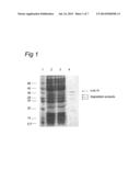 MOLECULE FOR TREATING AN INFLAMMATORY DISORDER diagram and image