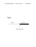 MOLECULE FOR TREATING AN INFLAMMATORY DISORDER diagram and image