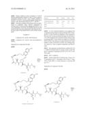 CRYSTAL FORMS OF A HCV PROTEASE INHIBITOR diagram and image