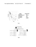 STABLE PEPTIDE-BASED PACE4 INHIBITORS diagram and image