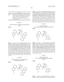 PROCESS FOR THE PREPARATION OF ISOXAZOLINE DERIVATIVES diagram and image