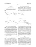 PROCESS FOR THE PREPARATION OF ISOXAZOLINE DERIVATIVES diagram and image