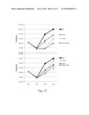 INHIBITORS OF MTOR KINASE AS ANTI -VIRAL AGENT diagram and image