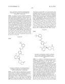 BTK INHIBITORS diagram and image