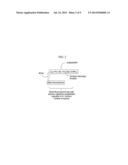 FLUORESCENT LABELING OF LIVING CELLS diagram and image