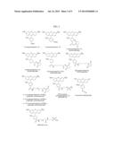 FLUORESCENT LABELING OF LIVING CELLS diagram and image