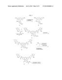 FLUORESCENT LABELING OF LIVING CELLS diagram and image