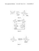 FLUORSCENT DYES WITH LARGE STOKES SHIFTS diagram and image