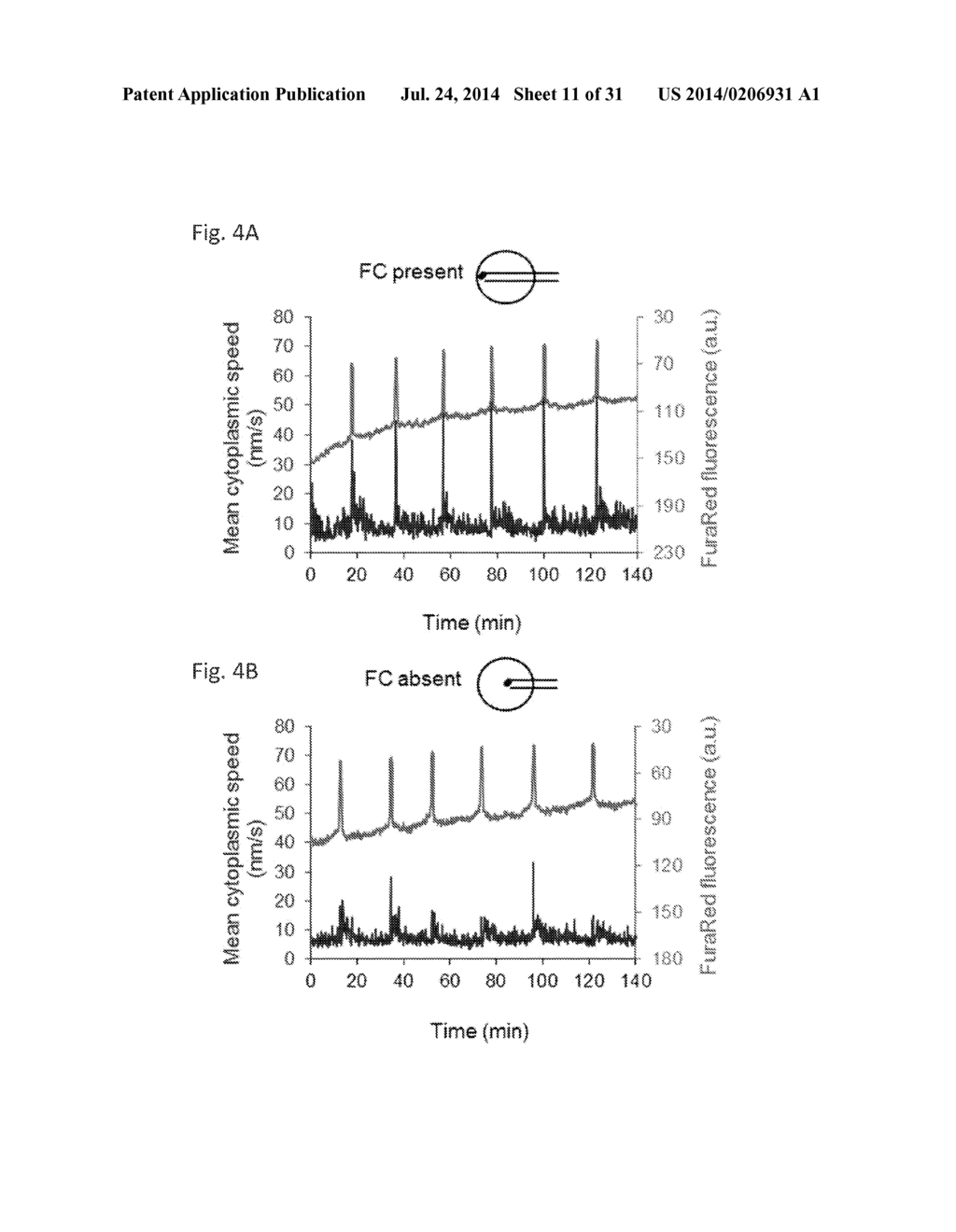 Methods For Predicting Mammalian Embryo Viability - diagram, schematic, and image 12