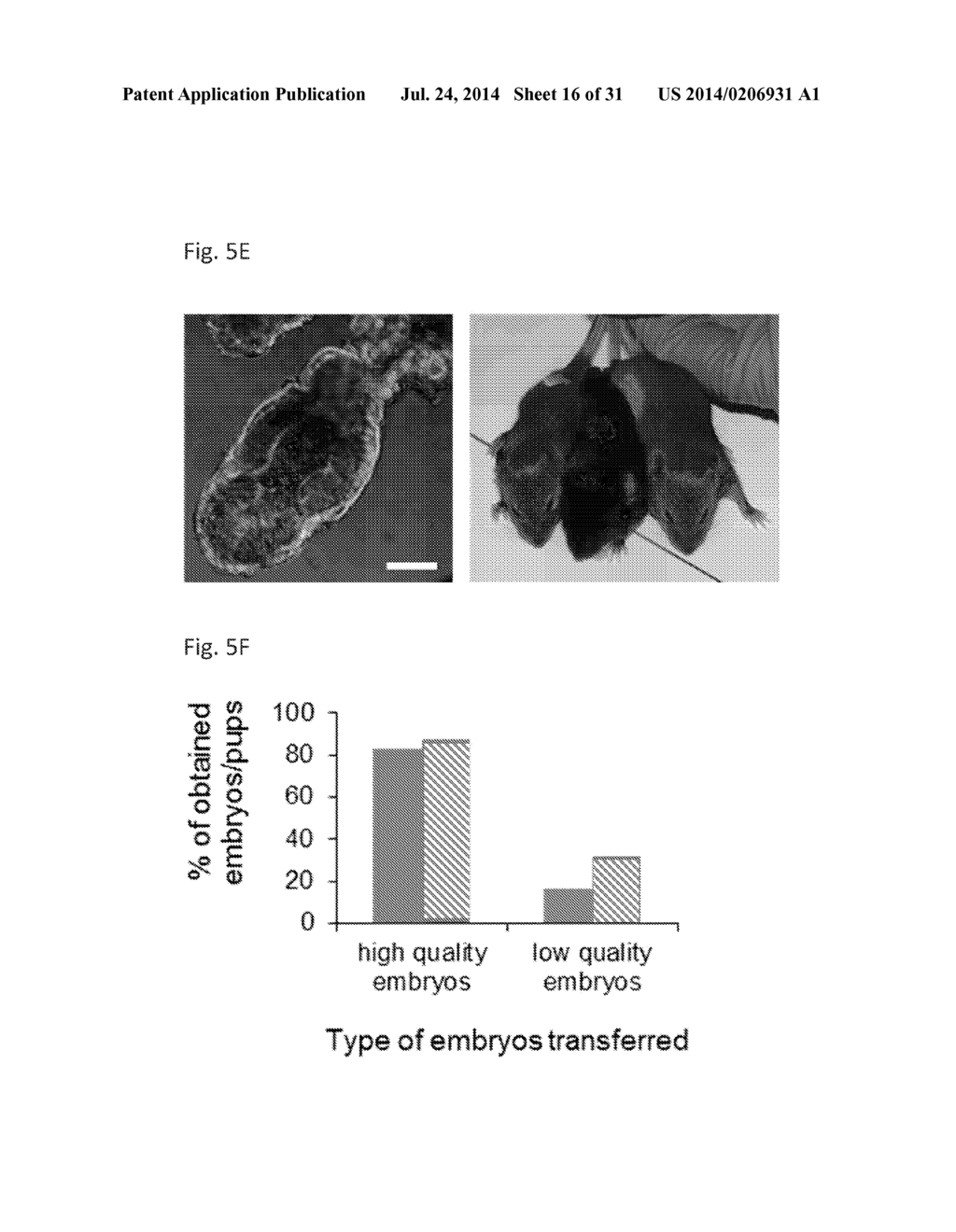Methods For Predicting Mammalian Embryo Viability - diagram, schematic, and image 17