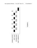 METHOD OF TISSUE SEPARATION USING FLUIDIC PULSES TO MINIMIZE TISSUE TRAUMA     DURING CATHETER INSERTION diagram and image