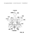 SYSTEM FOR DIAGNOSING AND TREATMENT OF PANCREAS, OTHER TISSUES AND ORGANS     AND OTHER MEDICAL CONDITIONS diagram and image